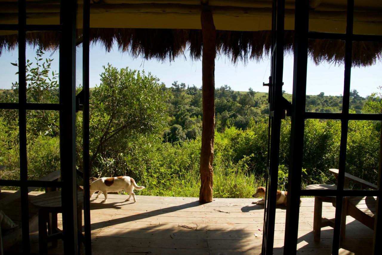 Olepangi Farm Villa Nanyuki Dış mekan fotoğraf