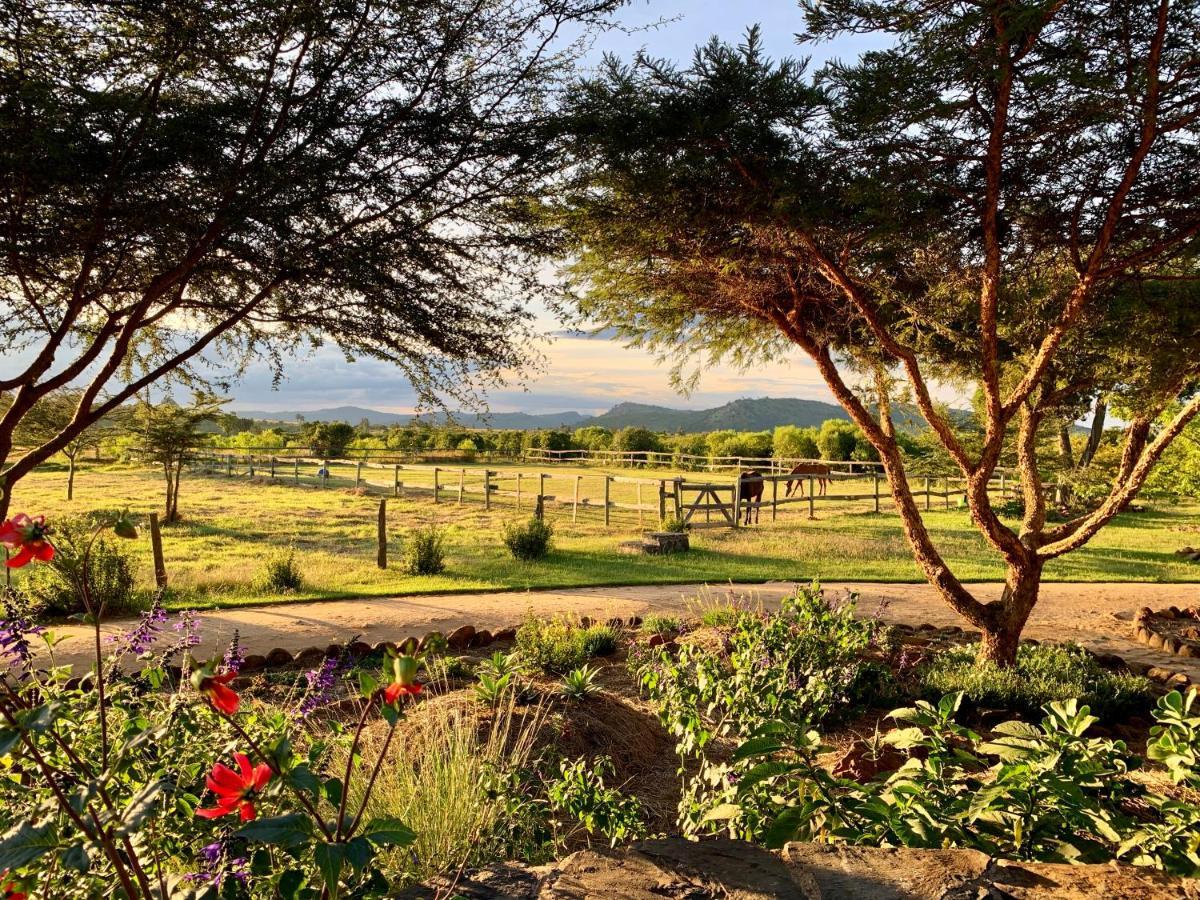 Olepangi Farm Villa Nanyuki Dış mekan fotoğraf