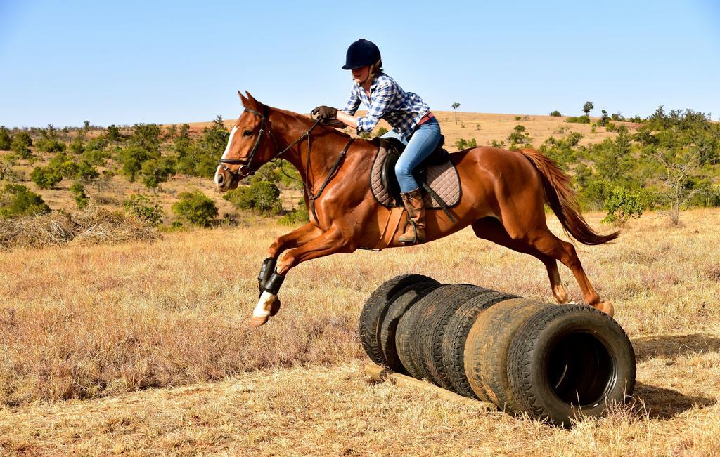Olepangi Farm Villa Nanyuki Dış mekan fotoğraf
