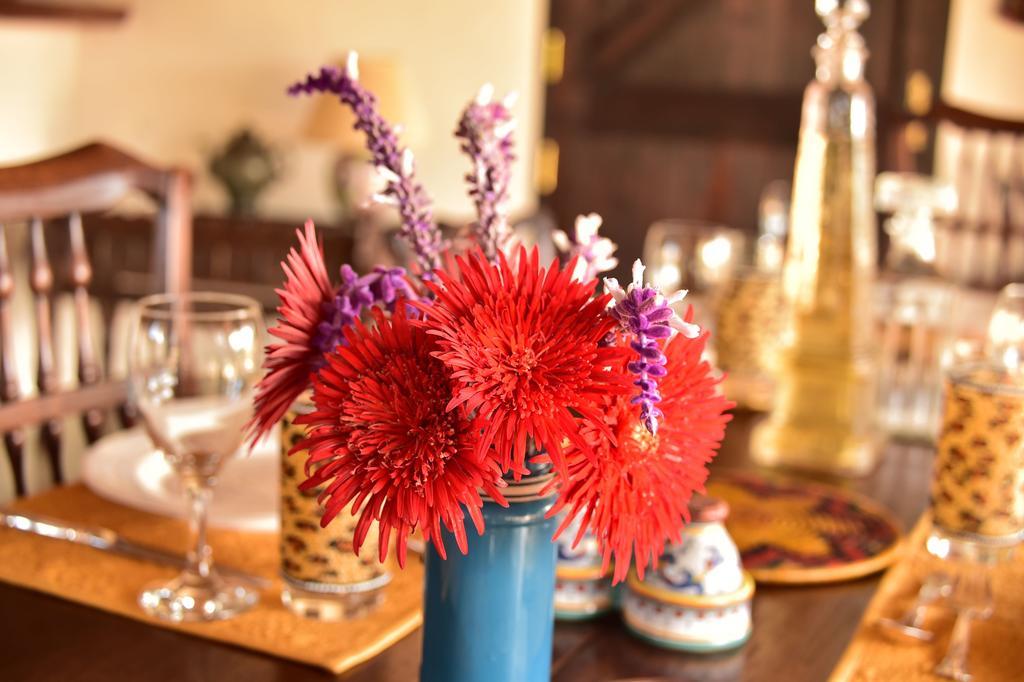 Olepangi Farm Villa Nanyuki Dış mekan fotoğraf