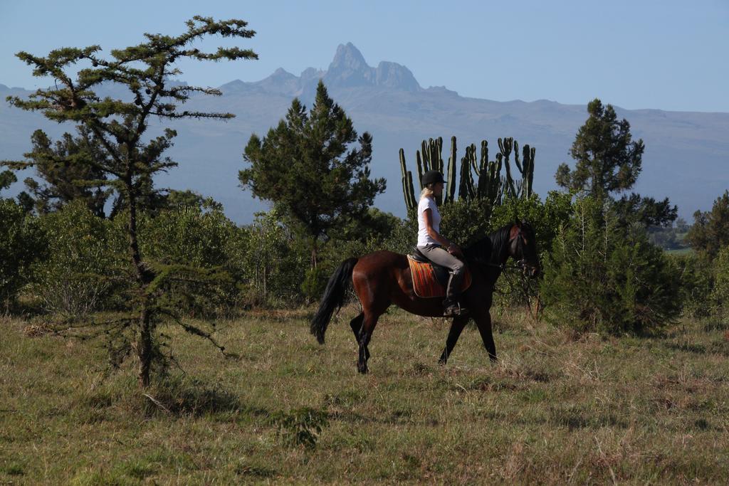 Olepangi Farm Villa Nanyuki Dış mekan fotoğraf