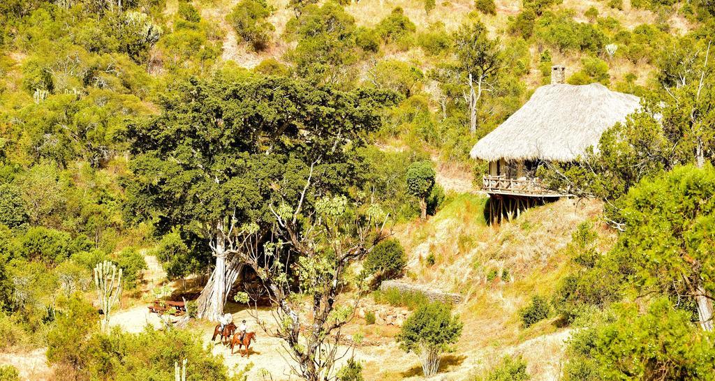 Olepangi Farm Villa Nanyuki Dış mekan fotoğraf