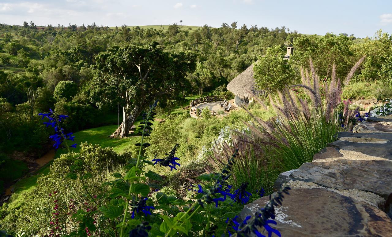 Olepangi Farm Villa Nanyuki Dış mekan fotoğraf