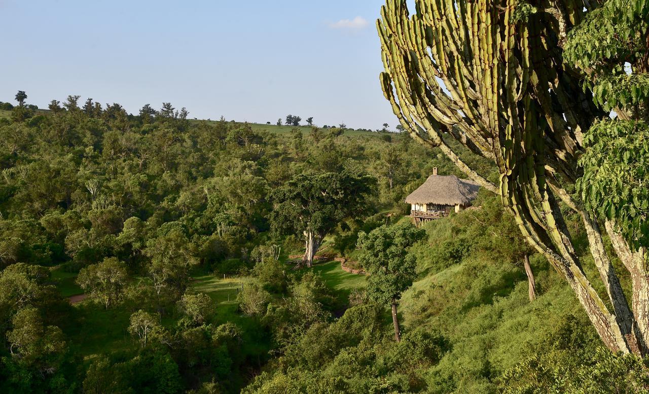 Olepangi Farm Villa Nanyuki Dış mekan fotoğraf
